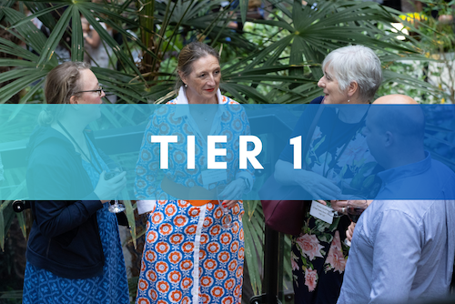 [ORGTIER1] Organisational Plan Tier 1 (£0-1M)